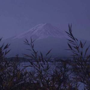 一级婬片试看15分钟口咬
