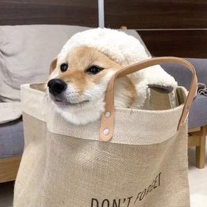 一级婬片试看15分钟口咬
